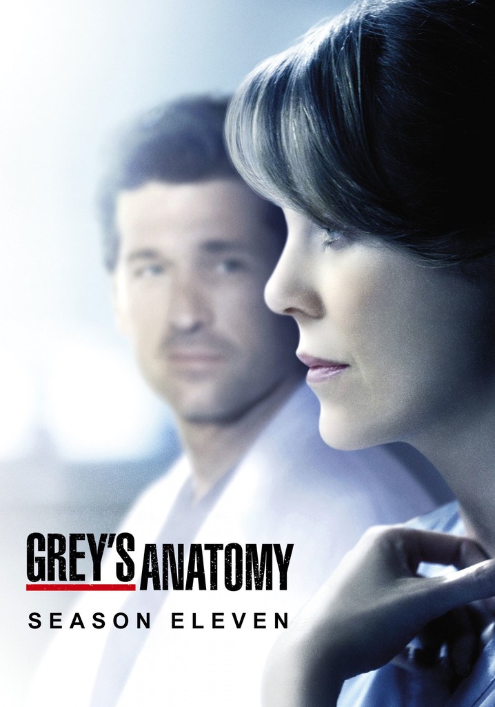 Grey's Anatomy Season 11 watch episodes streaming online